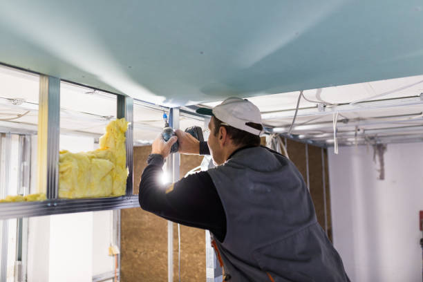 Best Residential Insulation in Dilkon, AZ