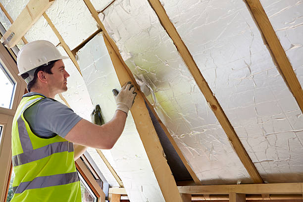 Best Insulation Installation Services in Dilkon, AZ