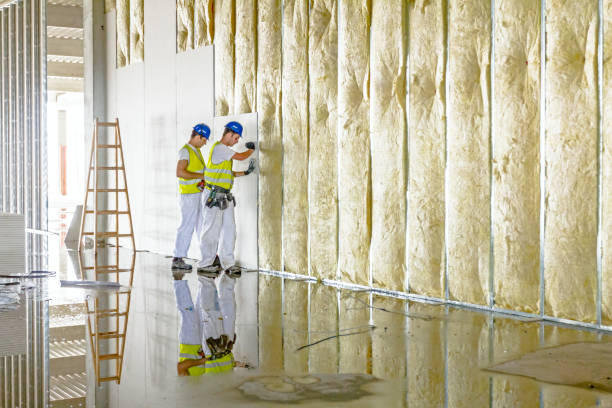 Best Types of Insulation in Dilkon, AZ